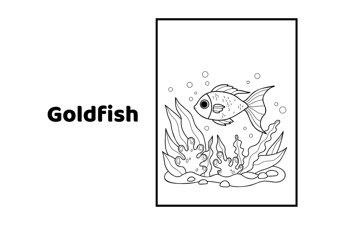 Pet animals coloring Book